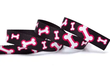 Gurtband 20 mm Dogs Knochen Black