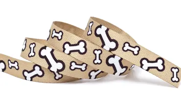 Gurtband 20 mm Dogs Knochen Gold