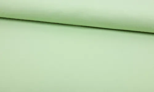 FAJUG-0740 BIO Jersey Uni - Schaumgrün FAJUG-0740.jpg