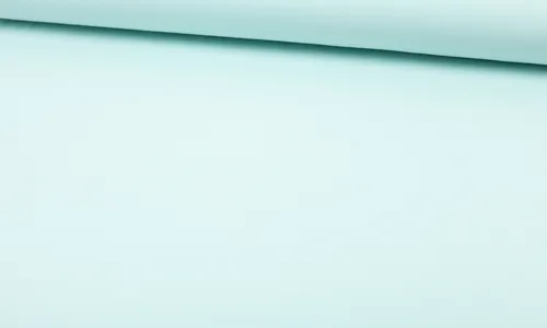 FAJUG-0640 BIO Jersey Uni - Eisblau FAJUG-0640.jpg