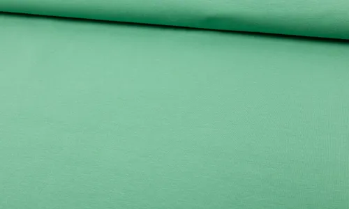 FAJUG-0770 BIO Jersey Uni - Pistazie FAJUG-0770.jpg