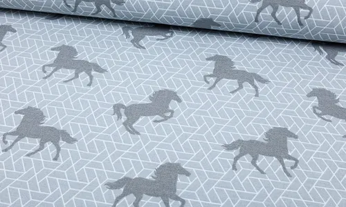 BBCAN-0010 Canvas - Pferde Triangle BBCAN-0010.jpg