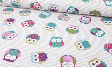 Canvas - Owls Türkis