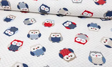 Canvas - Owls Blue