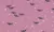 AGBWK-9001-2.jpg