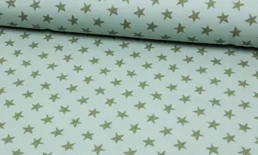 French Terry Brushed Sterne Vintage - Altgrün