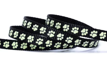 Gurtband 10 mm Glow in the dark - Pfote Schwarz