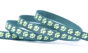 Gurtband 10 mm Glow in the dark - Pfote Rauchblau