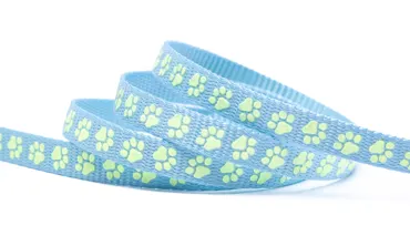 Gurtband 10 mm Glow in the dark - Pfote Hellblau