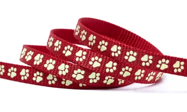 Gurtband 10 mm Glow in the dark - Pfote Rot