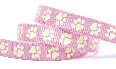 Gurtband 20 mm Glow in the dark - Pfote Rosa