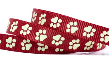 Gurtband 20 mm Glow in the dark - Pfote Rot
