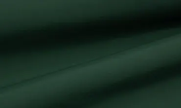 Softshell - Winter Green