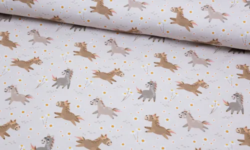 Jersey Fraeulein von Julie Suesse Pferde HDJBK-2007.jpg