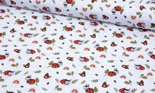 Jersey Fraeulein von Julie Ladybug and Rainbow HDJBK-1041.jpg