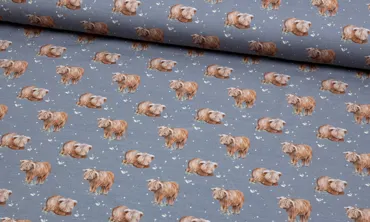 Jersey Fräulein von Julie - Jamie das Hochlandrind