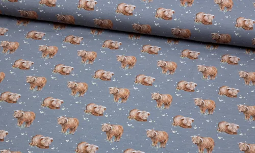 Jersey Fraeulein von Julie Jamie das Hochlandrind HDJBK-1042.jpg