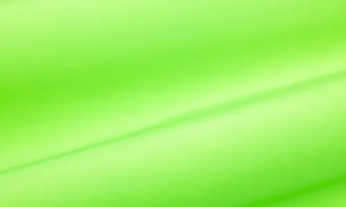 Badelycra Neon Grün QTLYC-1102.jpg