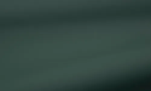 Regenjackenstoff Piniengruen QTREG-1001.jpg