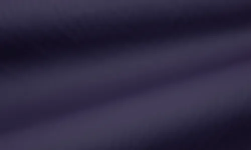 Regenjackenstoff Ultramarine QTREG-1004.jpg