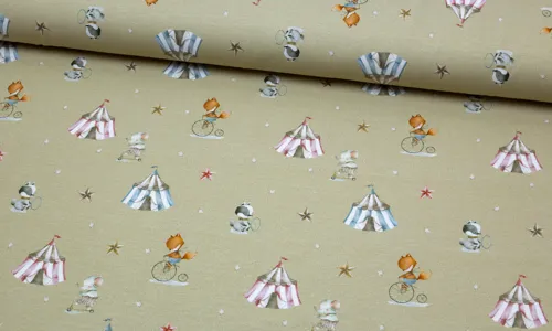 Jersey Zirkusfreunde Sage HEJBK-1006.jpg