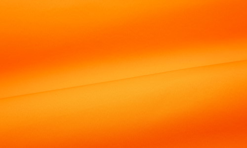 Softshell Neon Orange QTSOS-1340.jpg