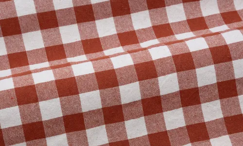 Baumwollstoff Karos XL Terracotta SCBWB-1064.jpg