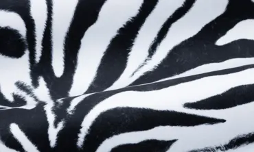 Fleece Animalprint - Zebra