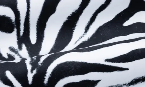 Fleece Animalprint Zebr QTFLE-5006.jpg