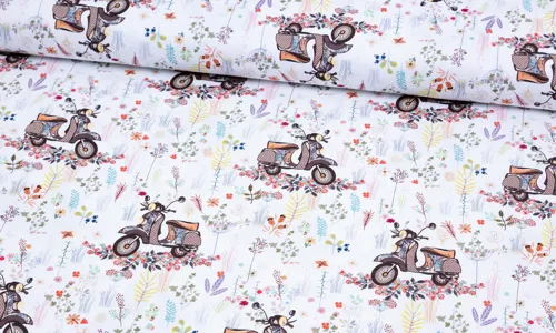 Canvas Frühling und Vespazeit HDCAN-0002.jpg