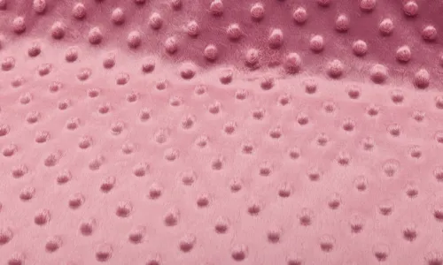 Minky Fleece Altpink 10-005-015010.jpg