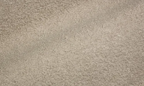 Teddy Fleece Beige 10-005-002081.jpg