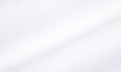 Canvas Heavy Savanna White 10-009-020001.jpg