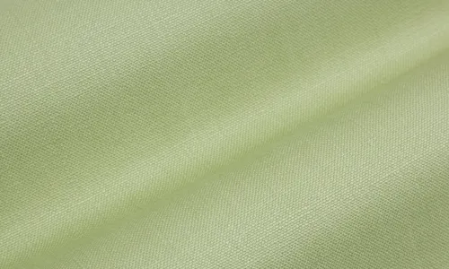 Heavy Canvas Savanna Pampas 10-009-020046.jpg