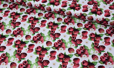 Canvas - Summertime Himbeere