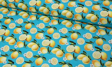 Canvas - Sweet Lemons Türkis